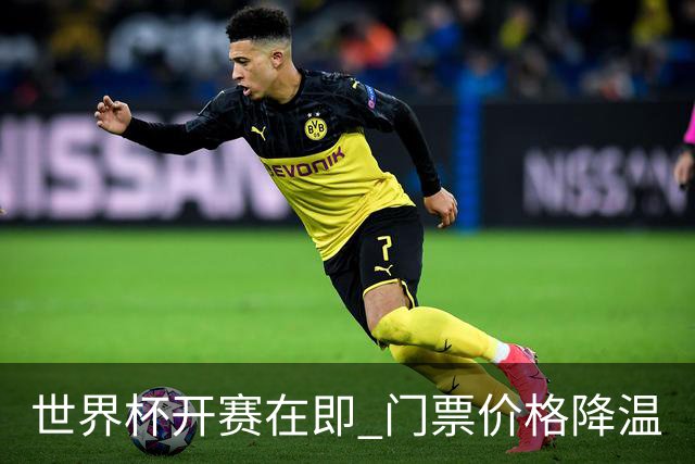 世界杯开赛在即 门票价格降温
