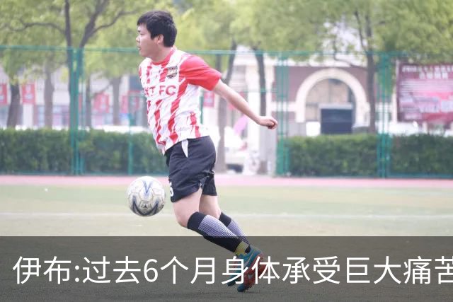 伊布:过去6个月身体承受巨大痛苦 只为帮球队夺冠