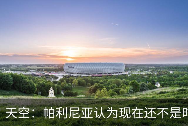 天空：帕利尼亚认为现在还不是时候回葡体，他更倾向于留在英超