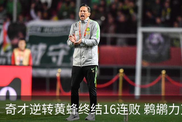 奇才逆转黄蜂终结16连败 鹈鹕力克76人3连胜
