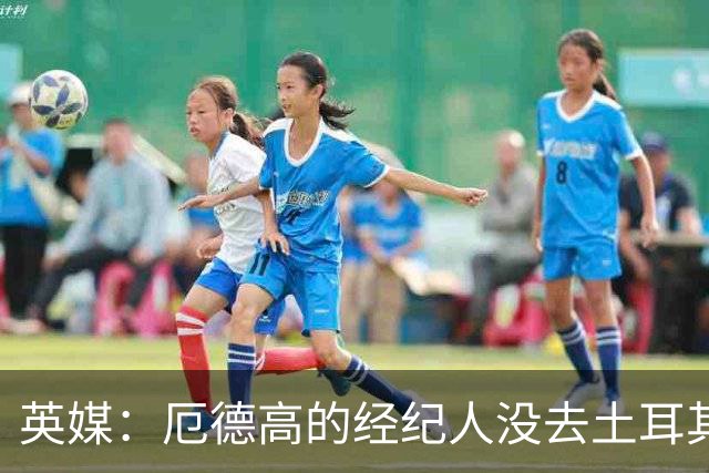 英媒：厄德高的经纪人没去土耳其，也没和加拉塔萨雷达成转会协议