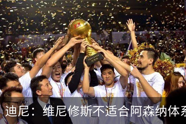 迪尼：维尼修斯不适合阿森纳体系，他的性格也不适合塔帅的风格