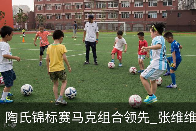 陶氏锦标赛马克组合领先 张维维/张雅惠上升到T10